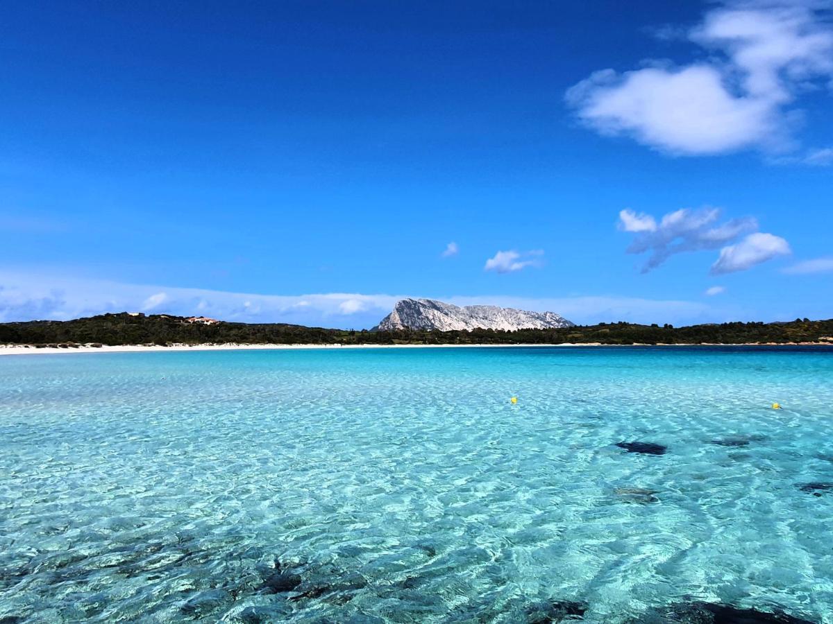 Top Floor Gulf View Apartment Όλμπια Εξωτερικό φωτογραφία